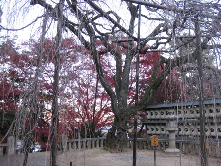 大石神社_a0164011_2105388.jpg