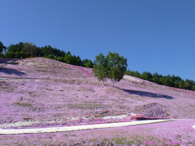 c0118011_10264372.jpg