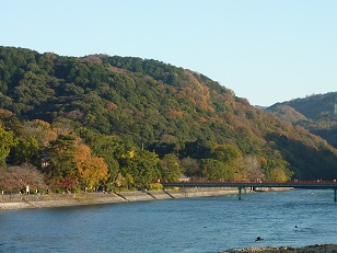 a0177314_912479.jpg