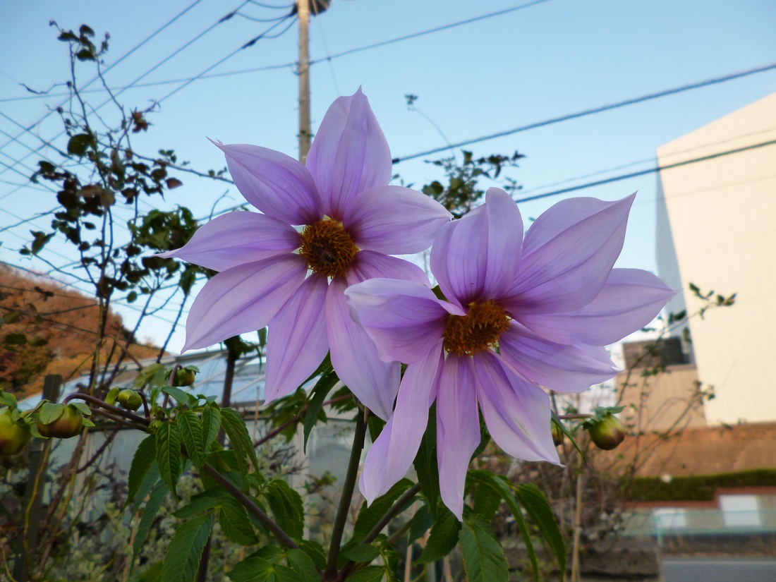 c0280416_23432780.jpg
