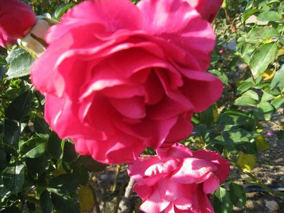 c0197220_20122862.jpg