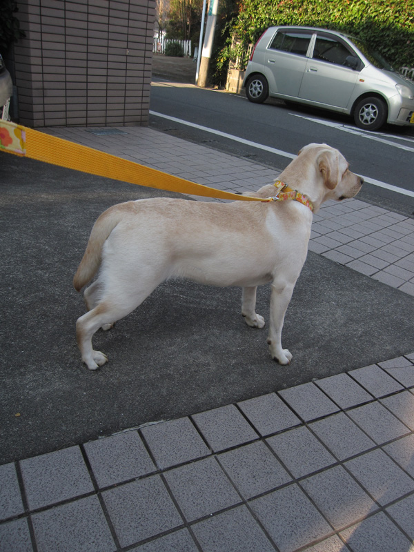 e0244621_10264114.jpg