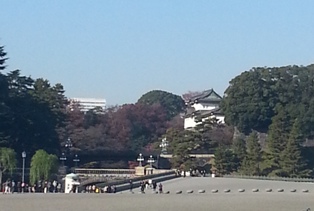 c0109726_15482448.jpg