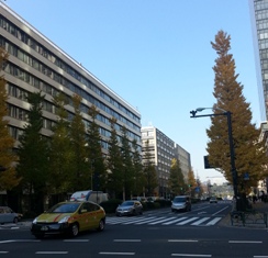 c0109726_15484080.jpg