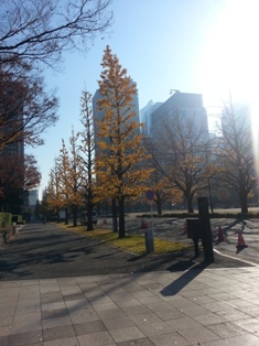 c0109726_15485984.jpg