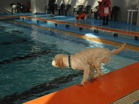 c0254426_1384860.gif