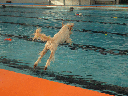 c0254426_138572.gif