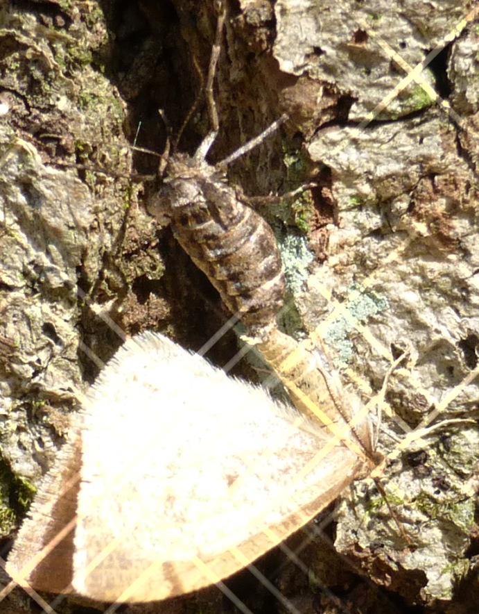 d0024426_1081030.jpg