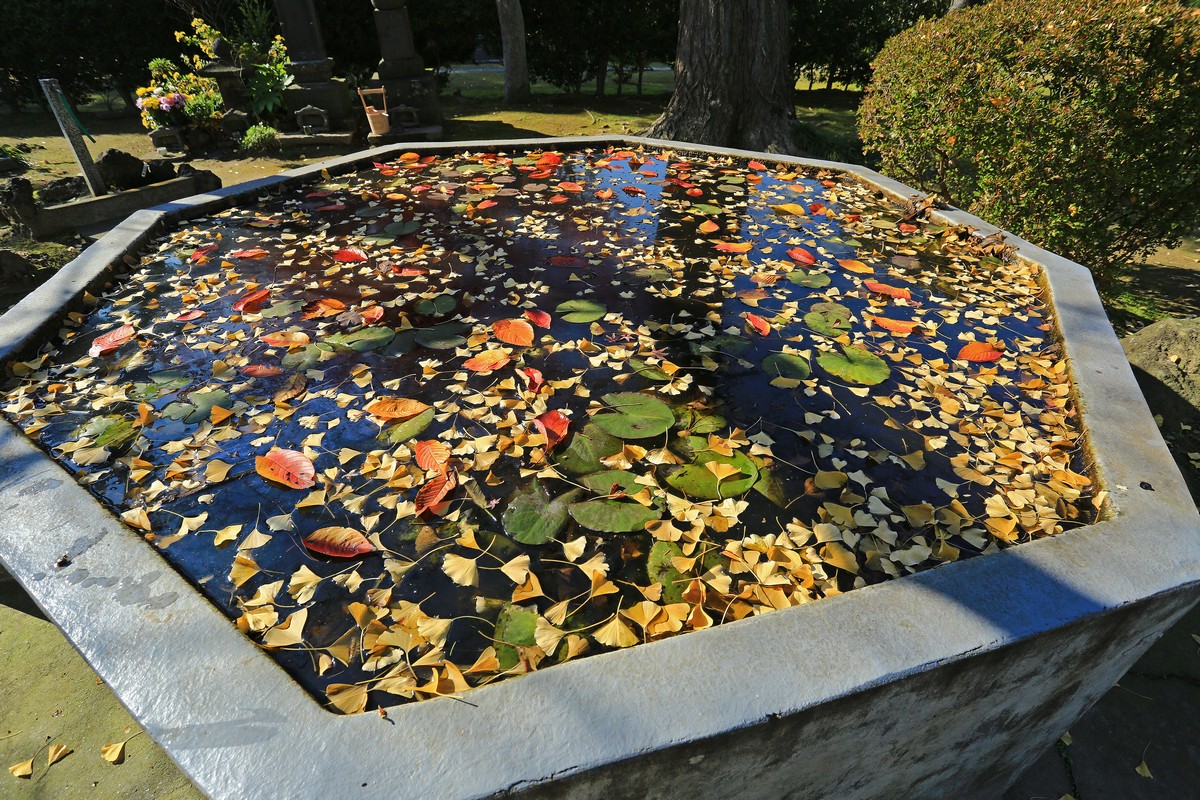 c0104227_1441198.jpg