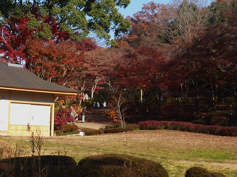 動物園_c0077531_21422045.jpg