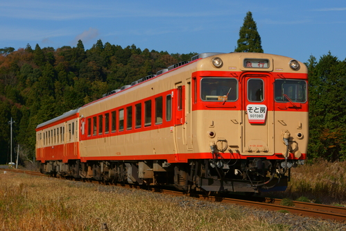 d0223231_192479.jpg