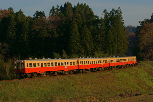 d0223231_195096.jpg