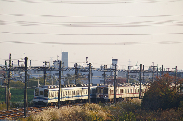 b0283432_21583261.jpg