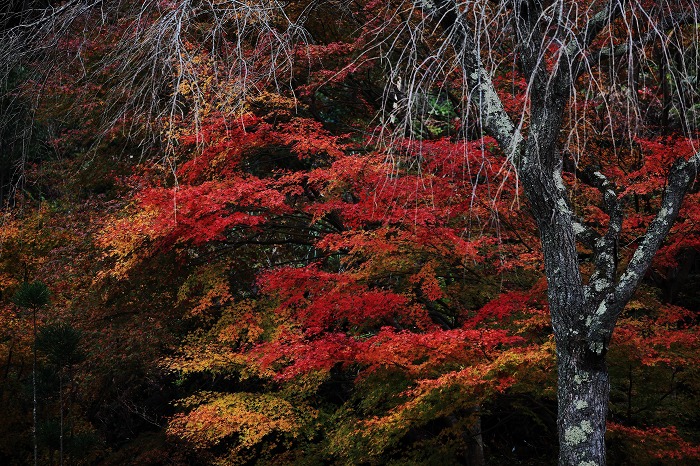 高蔵寺_a0294534_17205592.jpg