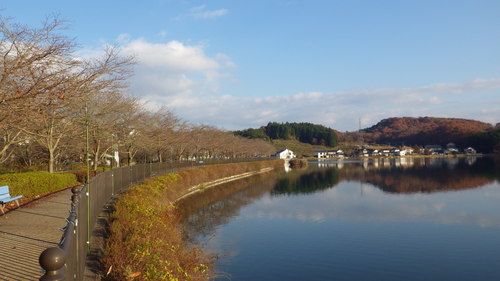 晩秋の上野池公園で散歩です。_c0300035_20421679.jpg