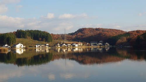 晩秋の上野池公園で散歩です。_c0300035_2044829.jpg