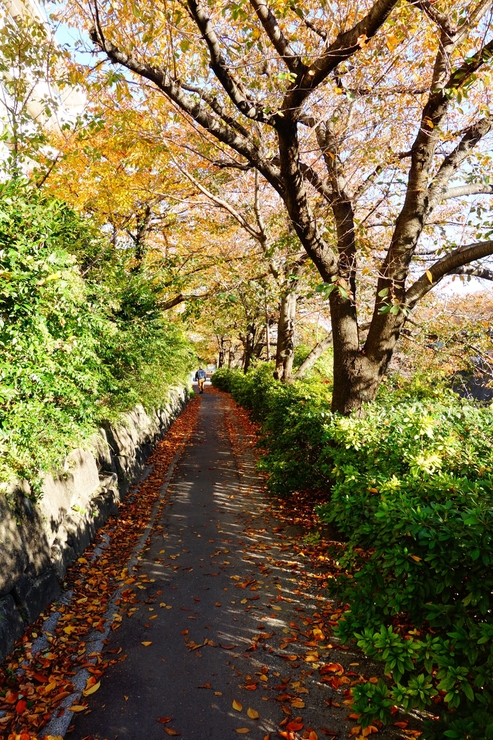 a0287336_010918.jpg