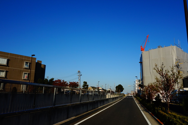 a0287336_0113861.jpg