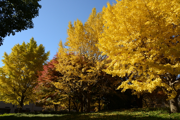 b0213639_11282786.jpg