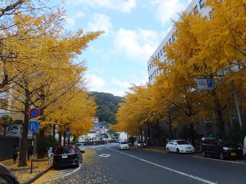 b0181748_1972719.jpg