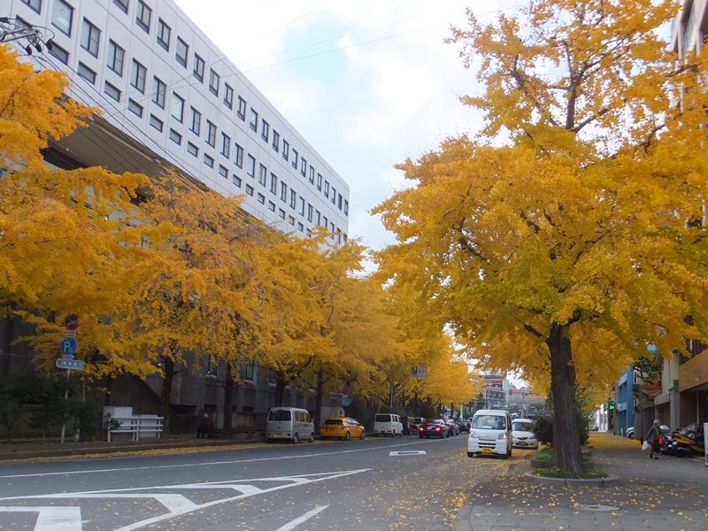 b0181748_1991141.jpg
