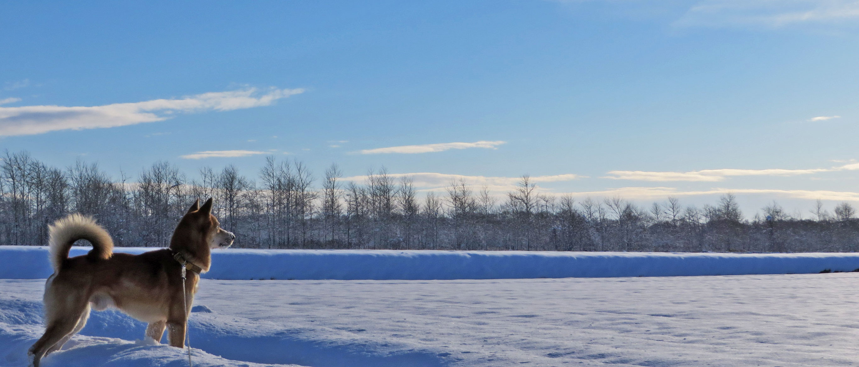 f0221648_1814459.jpg