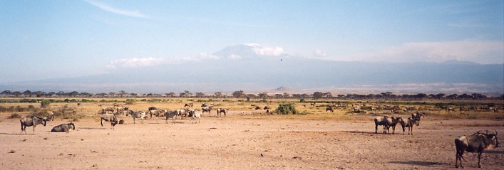 c0011649_18185649.jpg