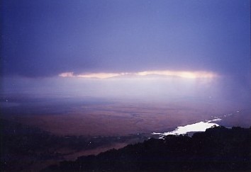 c0011649_184243.jpg