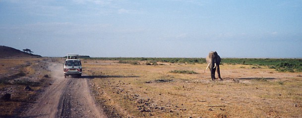 c0011649_185198.jpg