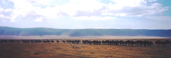 c0011649_186742.jpg