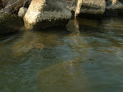 b0177760_07952.jpg