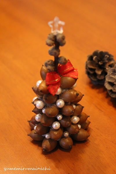 どんぐりリース、どんぐりのツリー、そして雑記_e0294761_22544514.jpg