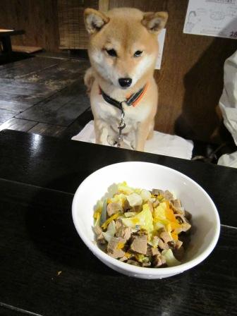 わんこと一緒に焼肉 ガオガオぽんちゃん わんこと一緒に焼肉 ガオガオぽんちゃん