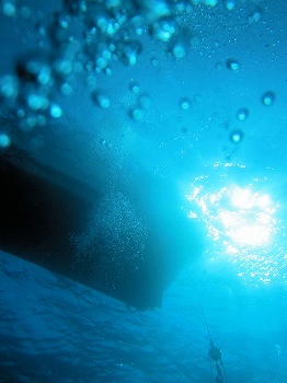 マグロフェスティバル ＩＮ 石垣島_e0096370_17423471.jpg