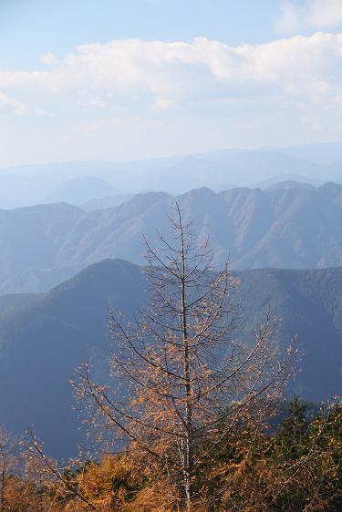 e0304170_197546.jpg