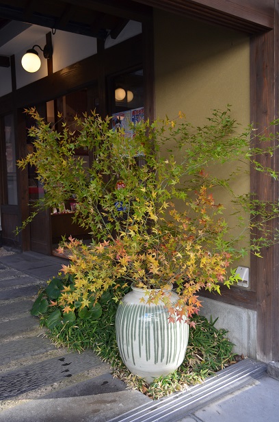 催事用の花_d0230676_15215038.jpg