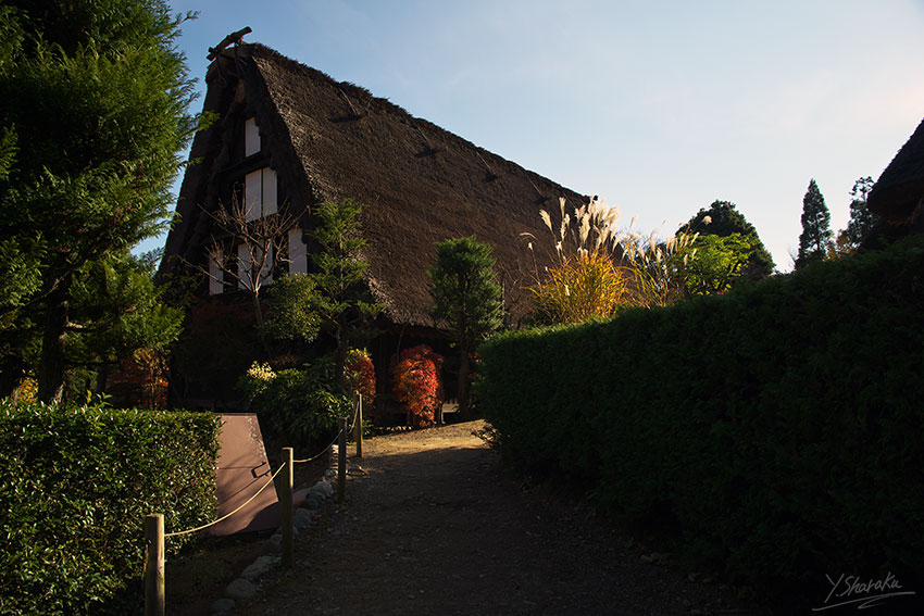 e0153076_2253459.jpg