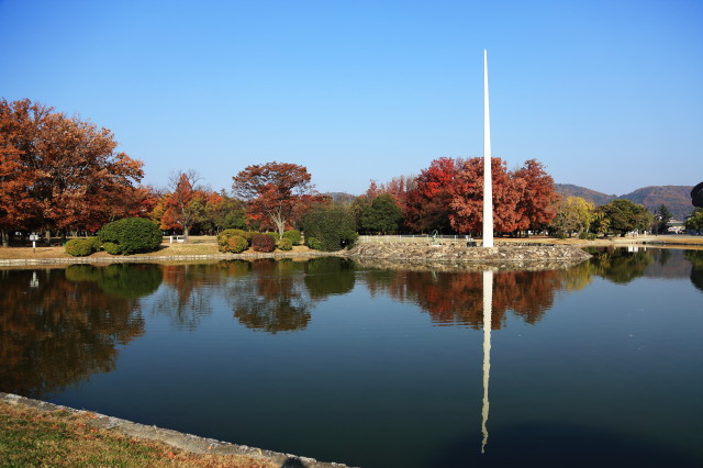 続・晩秋の公園_c0148777_1952976.jpg