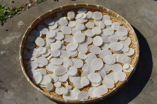 f0054677_849578.jpg