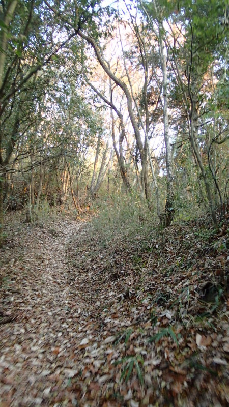 e0024081_18022402.jpg