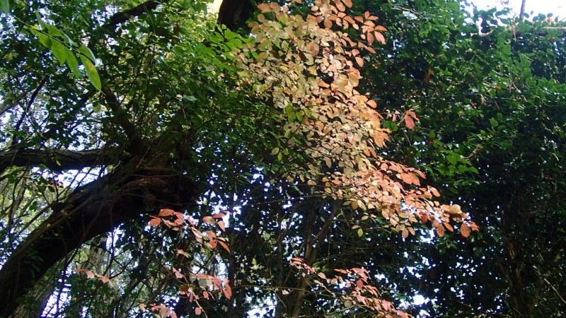 e0024081_18024337.jpg