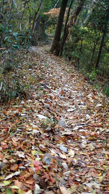 e0024081_18070279.jpg