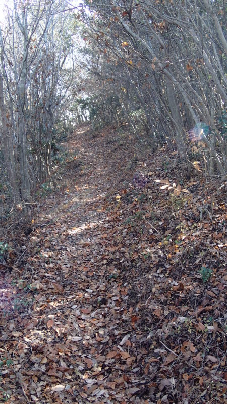 e0024081_18250343.jpg