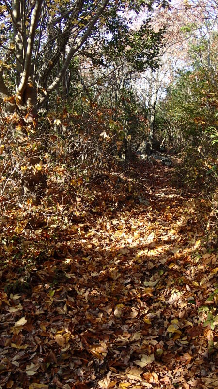 e0024081_18255594.jpg