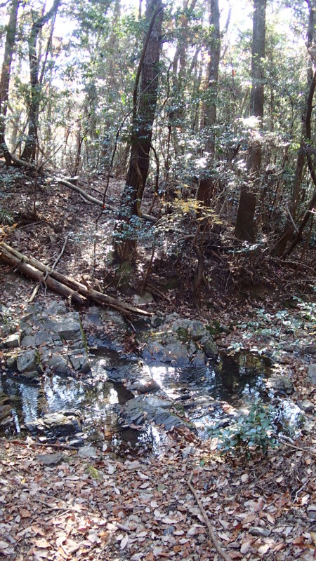 e0024081_18322695.jpg