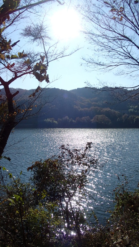 e0024081_18353956.jpg