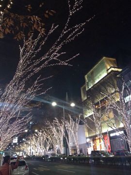 c0204383_2333547.jpg