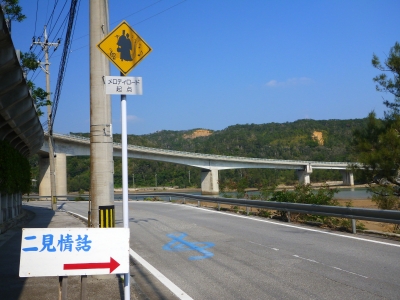 d0240983_1671259.jpg