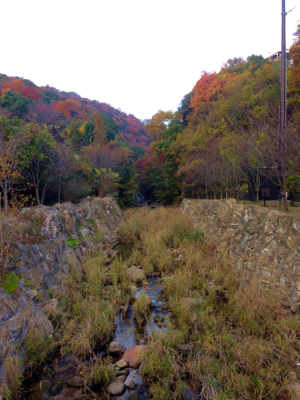 2013/12 /04 Mountain Running in Nigawa 仁川_b0220886_1054165.jpg
