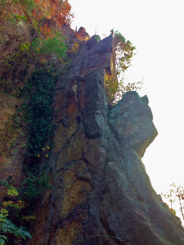 2013/12 /04 Mountain Running in Nigawa 仁川_b0220886_10562969.jpg